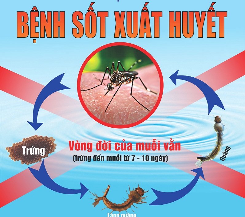 Dịch bệnh bùng phát trong dịp hè